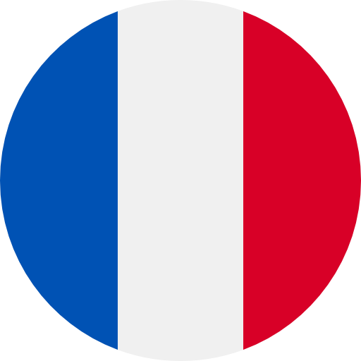 The France Flag
