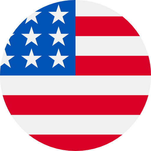 The American Flag